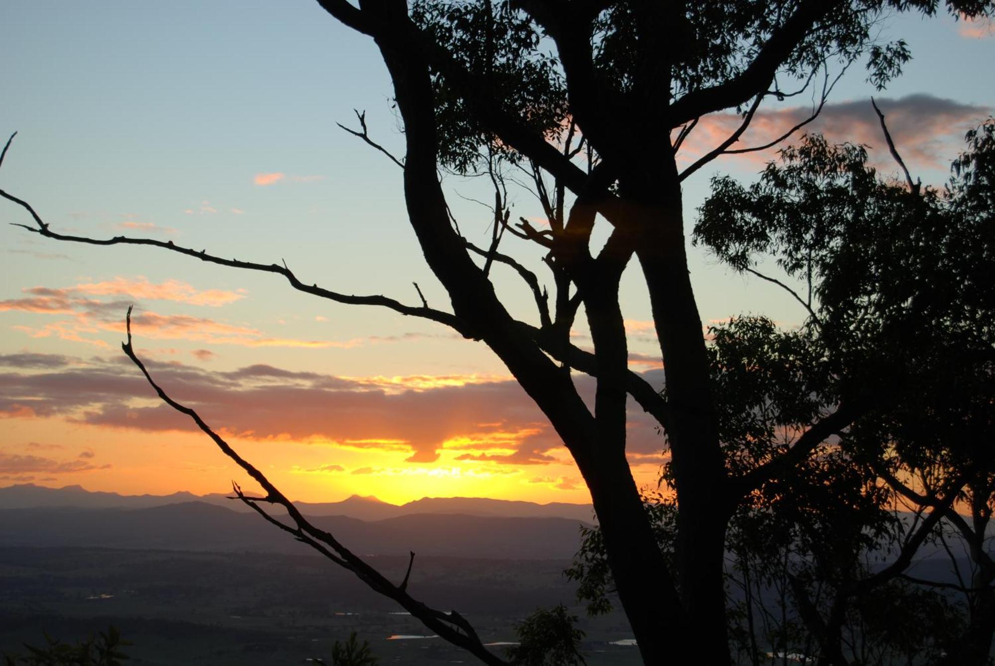 Witches Falls Cottages Mount Tamborine Exterior foto